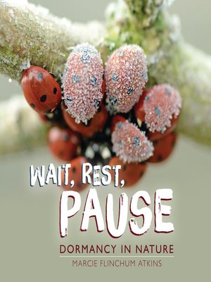 cover image of Wait, Rest, Pause